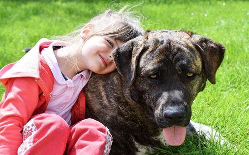 假如狗会说话娱乐吃瓜酱